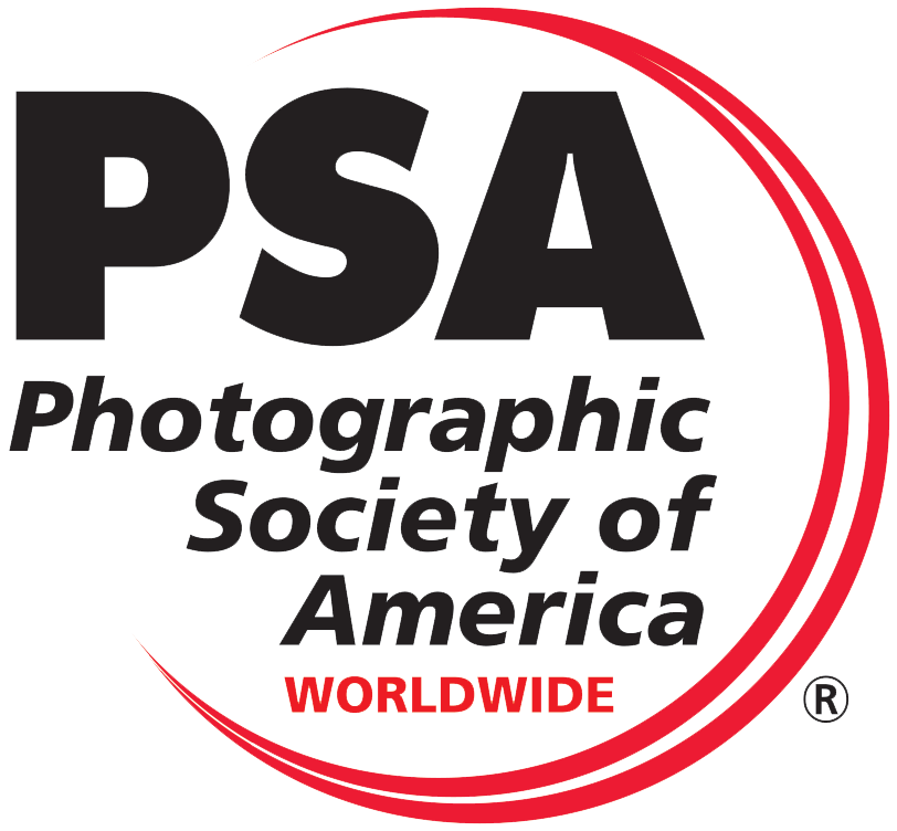  PSA 2024-1397